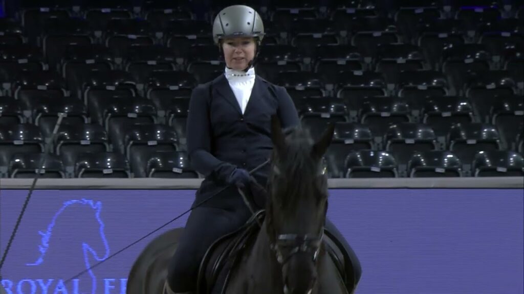 Hengstenkeuring en Royal Friesian Live show 2025 KFPS
