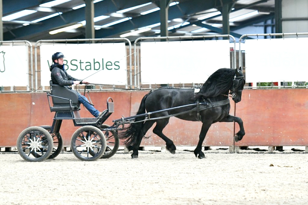 Livestream ABFP eindbeoordeling Wergea