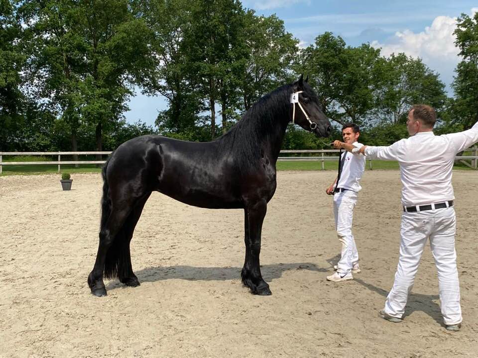 IBOP Wergea: Douwina (Tsjalle 454) verdient AAA én Kroon