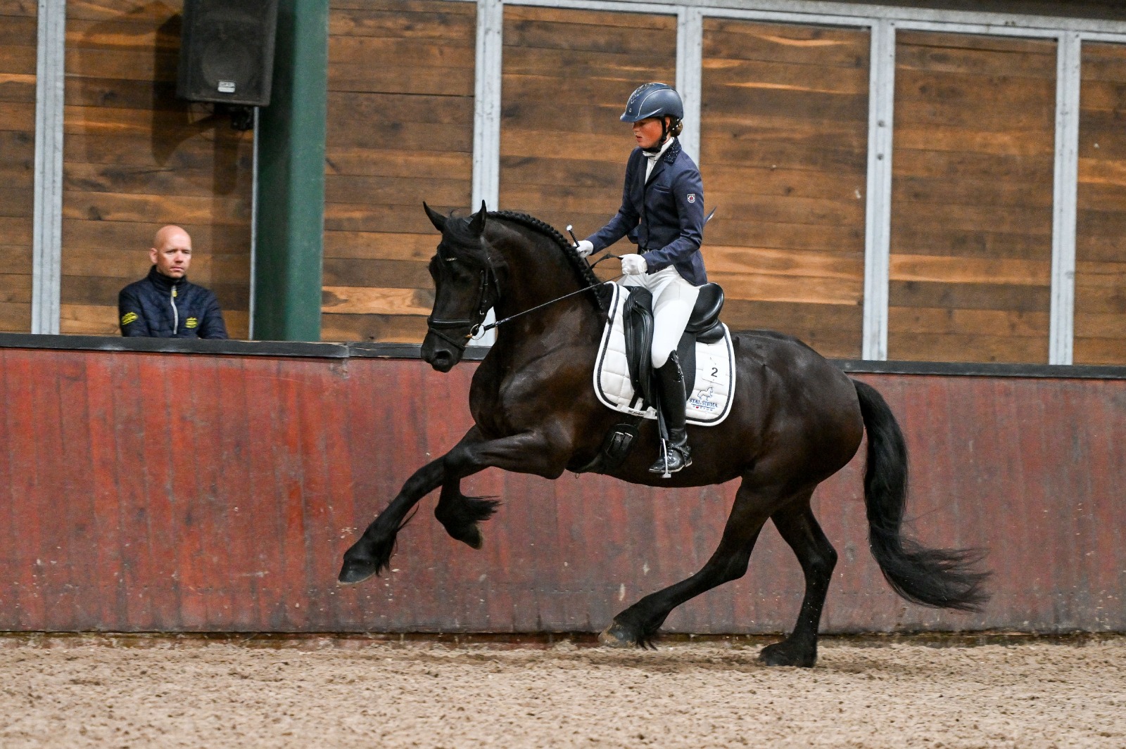 IBOP-Wergea: Kroon voor Maxima (Alwin 469), Jinthe (Wimer 461) en Mare (Jehannes 484)