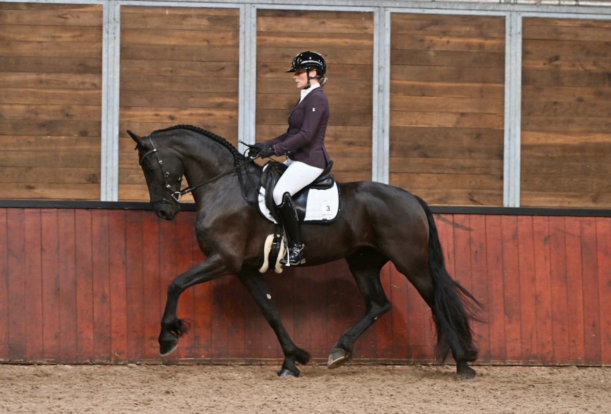 IBOP Wergea | Kroon en AAA voor Mies (Teun 505), AAA voor Marit (Ulbrân 502) en Mina (Jehannes 484)