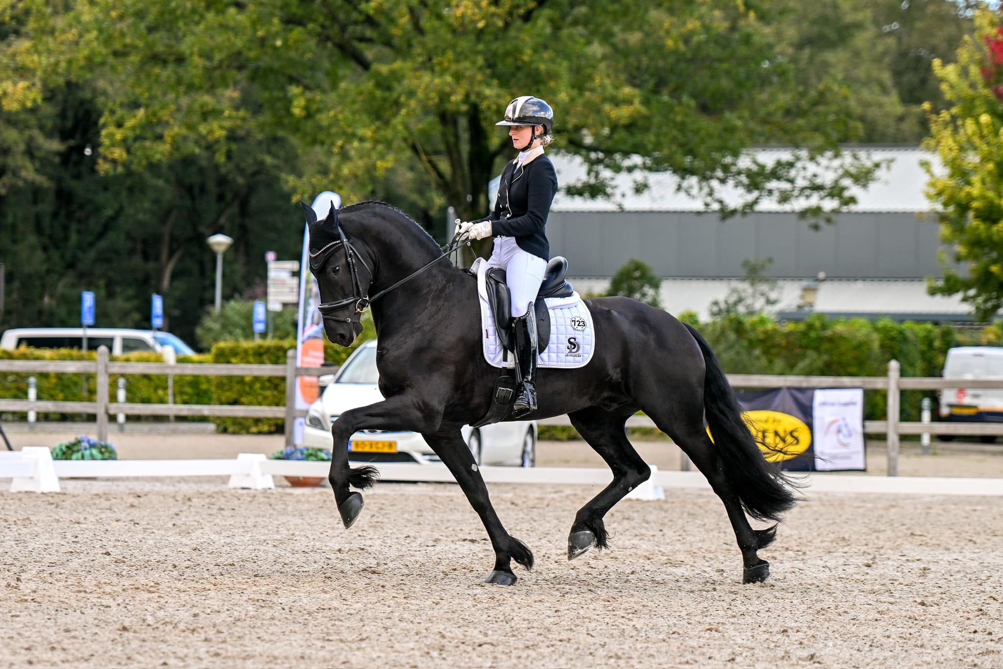 Dressuurcompetitie Udenhout: topscore voor Demi en Maine