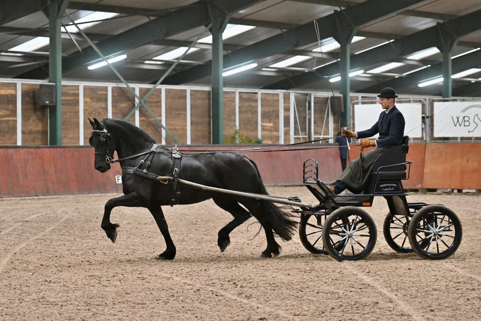 IBOP Wergea: Kroon voor Nell-Roelofke (Tymen 503) en Nore (Tymen 503), AAA voor Martina (Menne 496) 