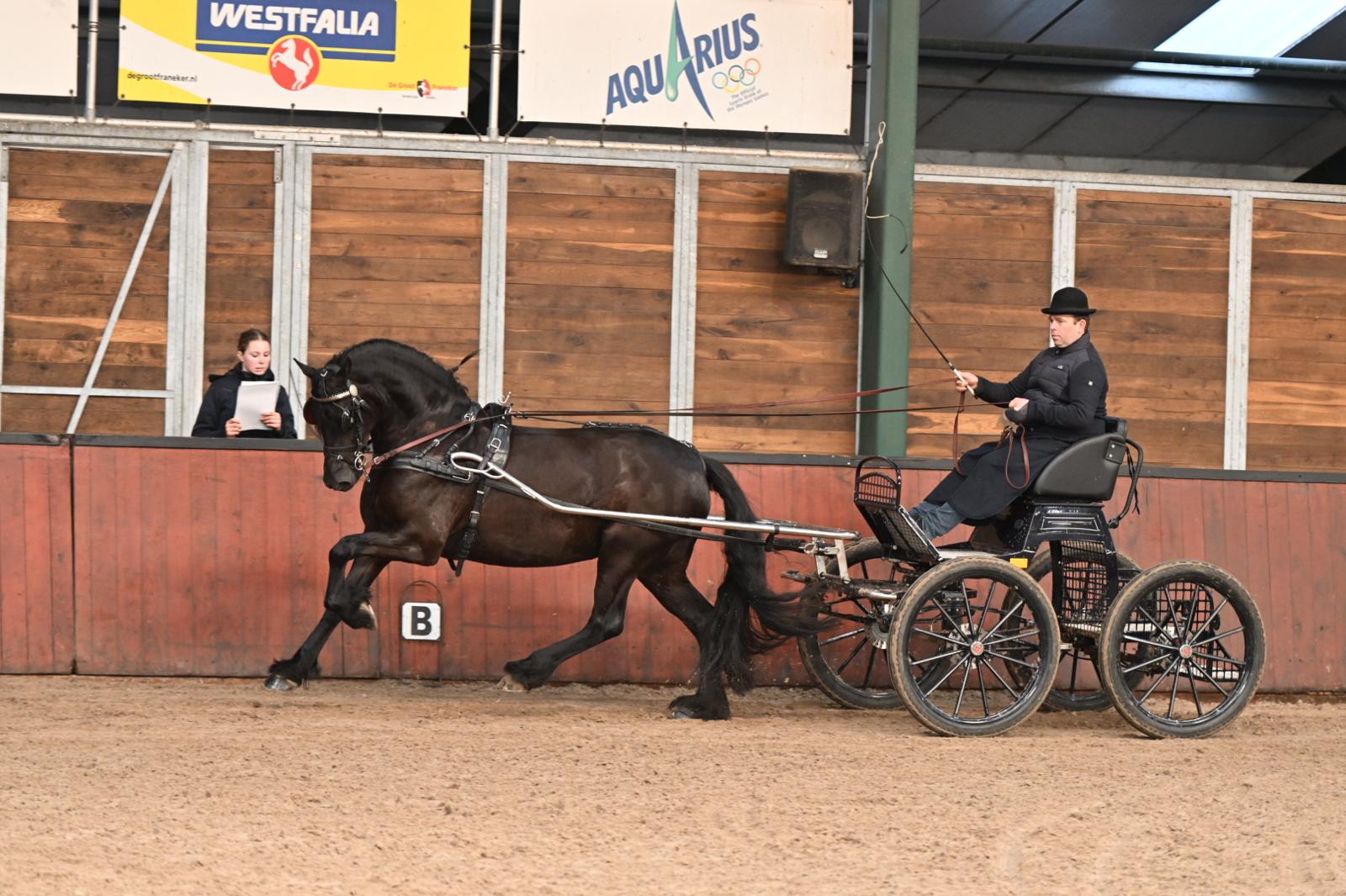 IBOP Wergea: driemaal AA predicaat met hoogste score voor Marrit Maike (Tsjalle 454)