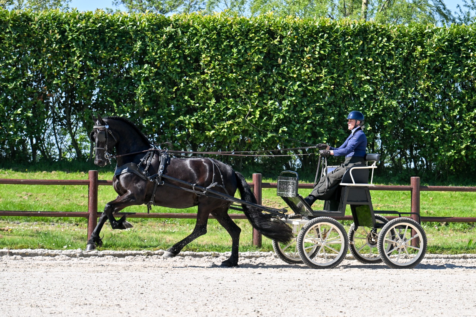 IBOP Wergea | AAA voor Jelsje (Omer 493) en Jisse (Tymen 503)