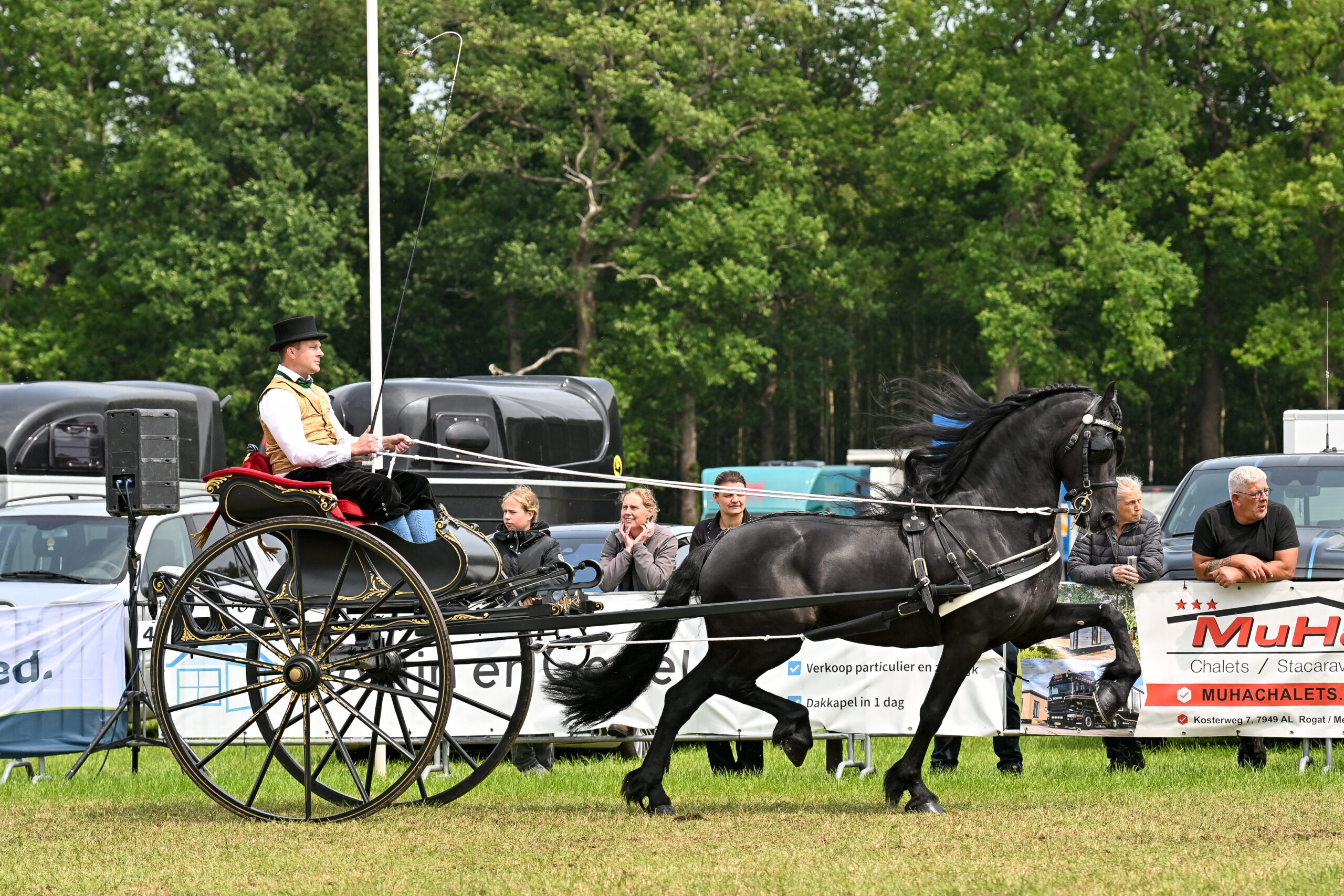 Tsjalle 454-zoon Gys haalt Sport-Elite predicaat - KFPS