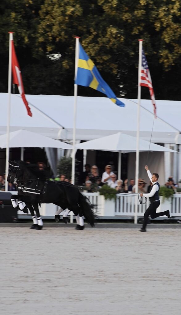 Jelmer Chardon, Jurre, Siebren