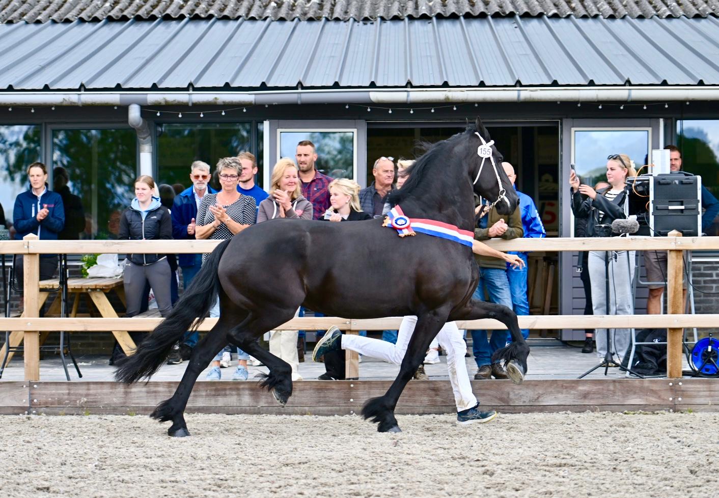 Fenomenaal dravende Else wint ‘Wolvega’