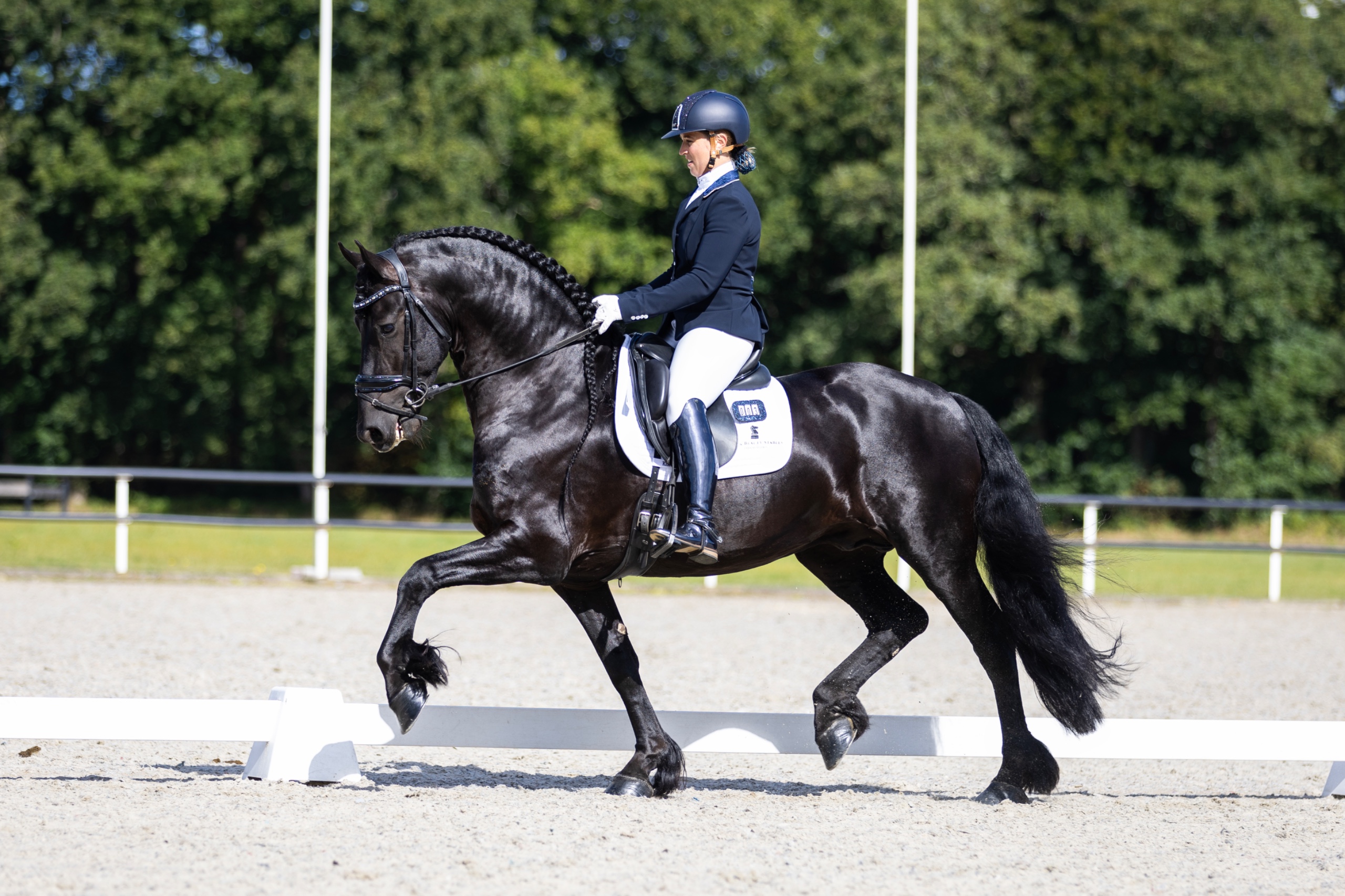 Fryso Florian Harich: 24 paarden door, topscore voor Jary en Marell