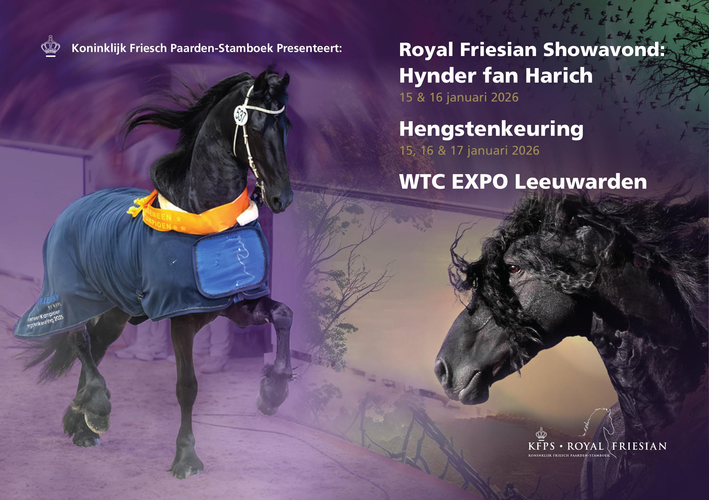 Zaterdag Hengstenkeuring 2026 zo goed als uitverkocht