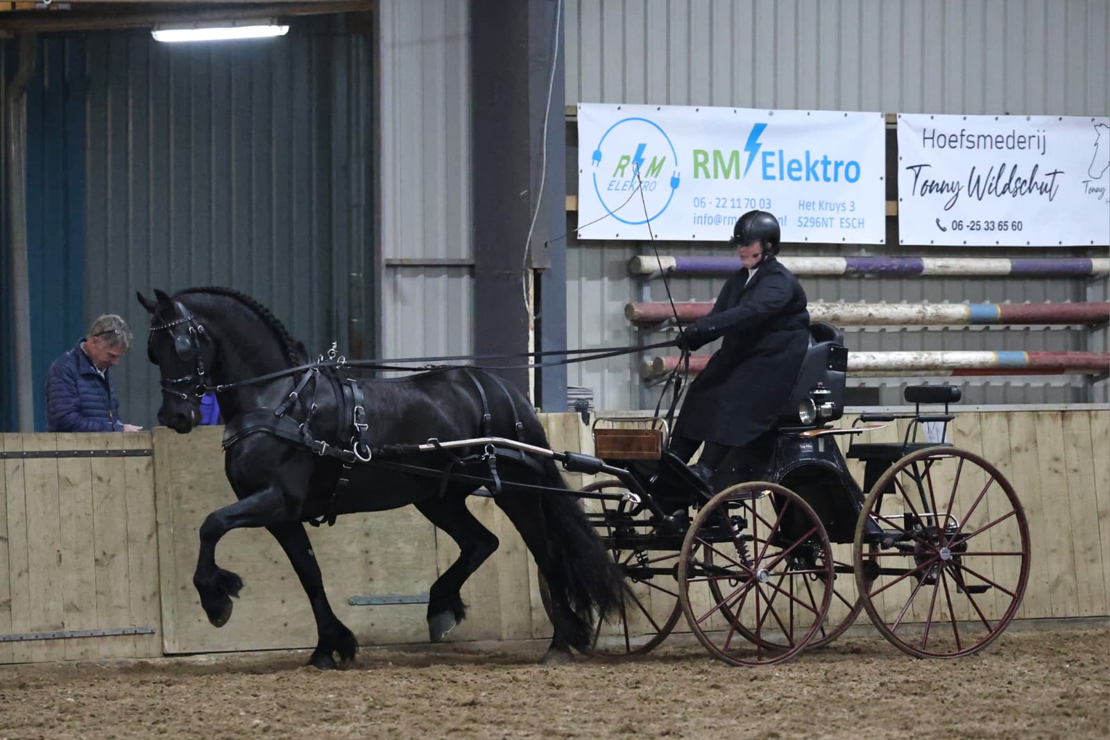IBOP Boxtel | Twee nieuwe Kroonmerries, Teunke (Wylster 463) AAA