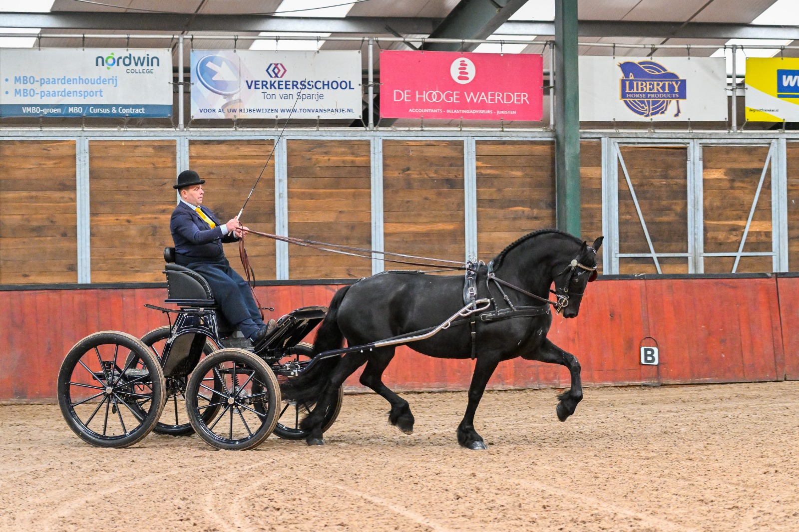 IBOP Wergea | Kroon voor Hester (Omer 493), Ster voor Sibbeltsje (Erryt 488)