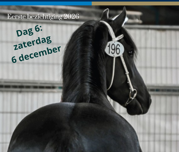 Dag 6 eerste bezichtiging: 24 paarden door naar Leeuwarden