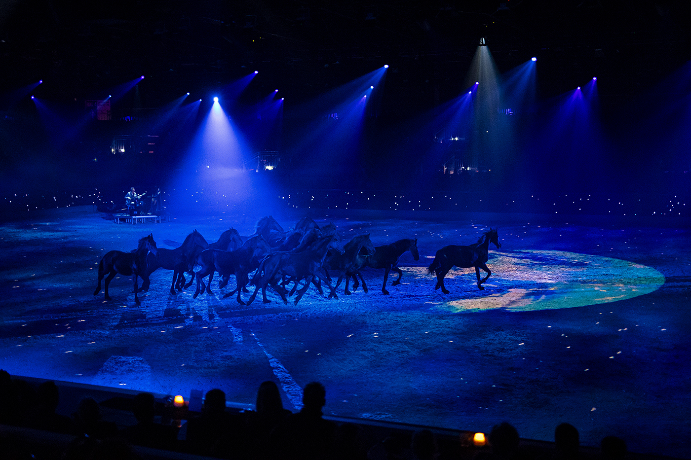 HK-nieuws l In 2024 tussen de veulens bij Het Faderpaard, vandaag bij de 2e bezichtiging: 