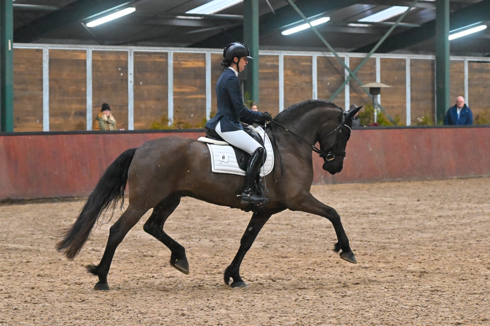 IBOP Wergea | Tanja (Ulbrân 502) en Vorstin (Tiede 501) Kroon, monsterscore voor Rintje Rinus (Tsjal