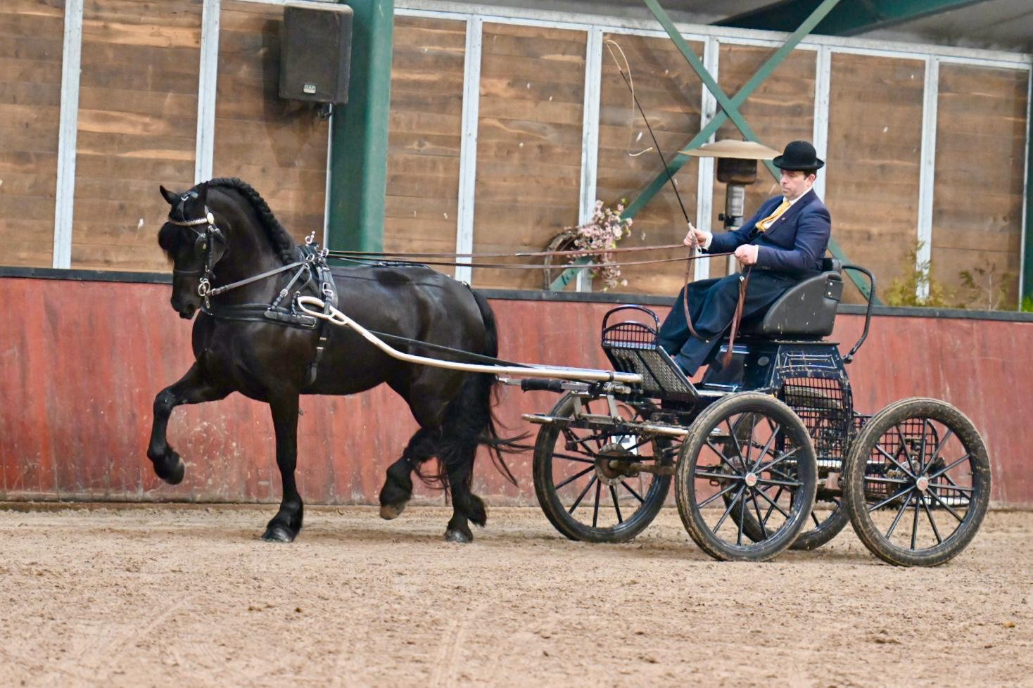 IBOP Wergea | Kroon voor Sinne Anke (Yme 507) en Mirthe (Tiede 501)