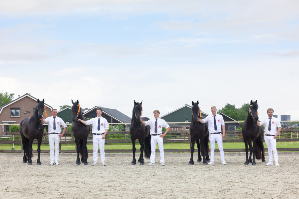 Vijf eerste premies op de locatiekeuring van de Gebroeders van Manen (foto: Ingrid Truijens)