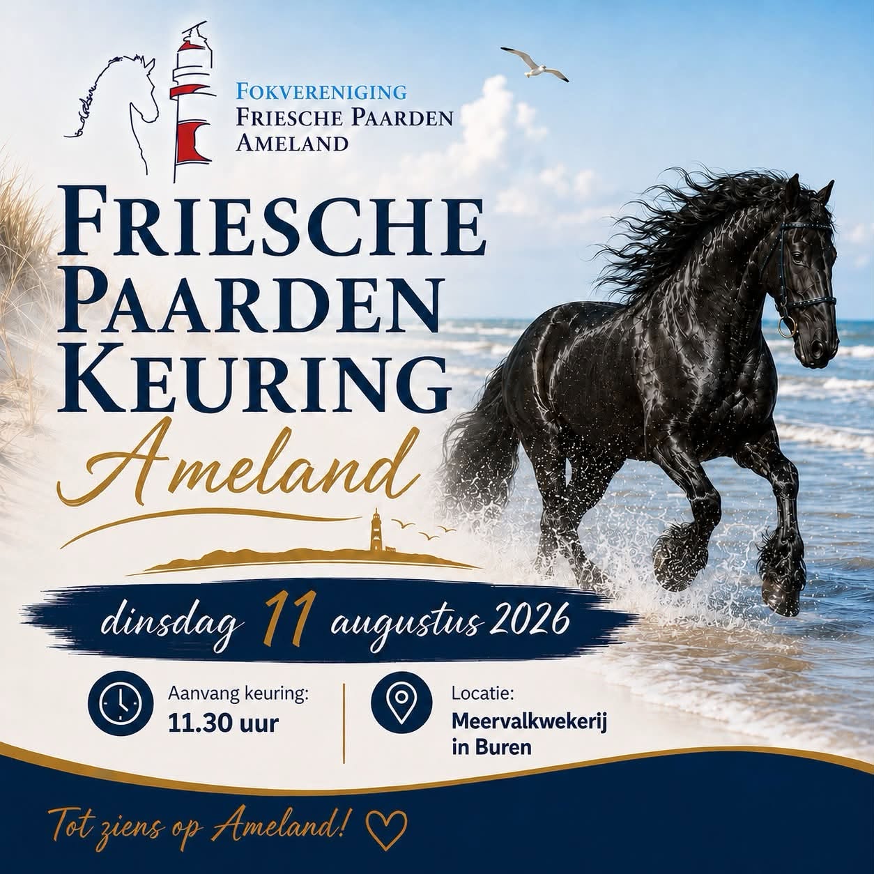 Fokdag Friesche Paarden Ameland – dinsdag 11 augustus
