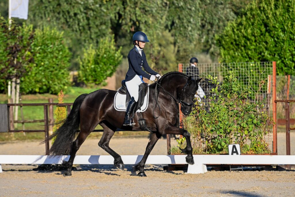 Tara fan Stal Sibma Kroon AAA ( Auwert 514 x Jisse 433) Foto's: Johanna Faber